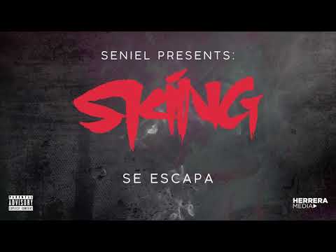 download lagu mp3 mp4 Seniel, download lagu Seniel gratis, unduh video klip Seniel