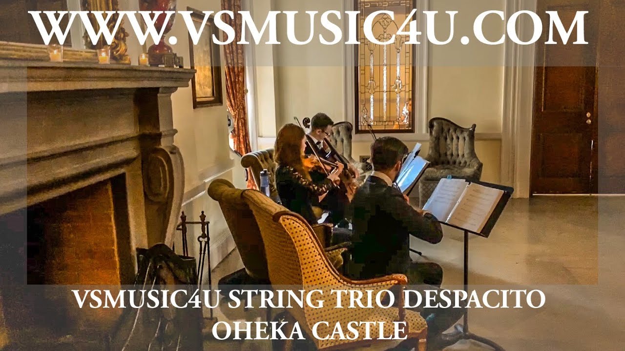 Promotional video thumbnail 46 for VSmusic4u Wedding & Event Musicians