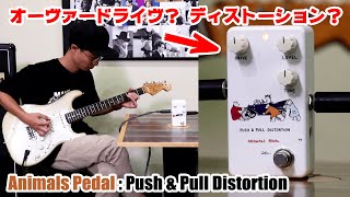 Video thumbnail for アニマルズペダル Push & Pull Distortion：キュートで音は最強、実戦派歪みペダル／ヤング・ギター製品レビュー by youngguitarmagazine