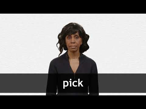 Pick - definition of pick by The Free Dictionary