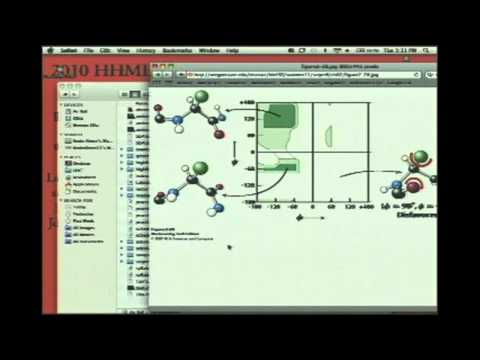 Kevin Ahern's BB 450/550 Classroom Lecture #1 for June 21 - Protein Structure I & II