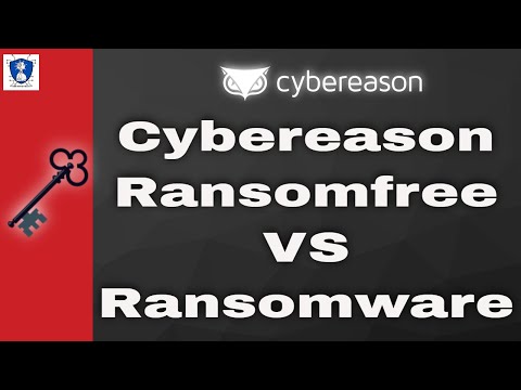 image-What is Cybereason RansomFree?