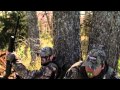 Headhunter S TV New Jersey Kansas Combo