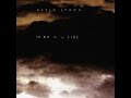 David Lynch - The Air Is On Fire (Full Album) 