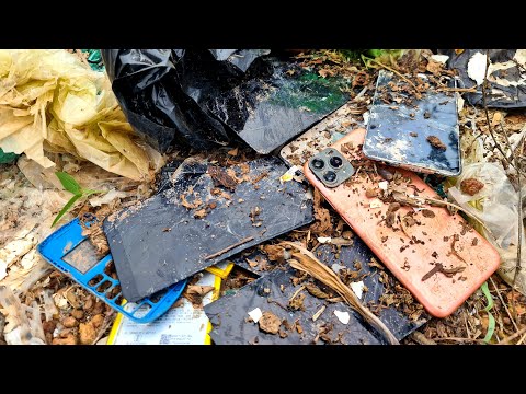 Found iPhone 11 Pro fake and more from trash | Restoring Abandoned Destroyed Phone