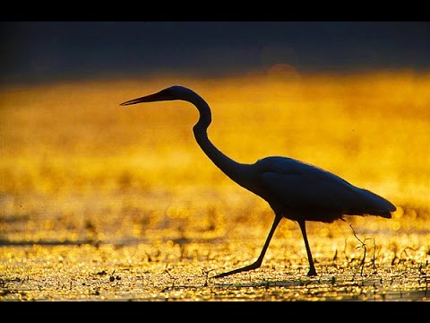 RYTMY NATURY W DOLINIE BARYCZY - Trailer