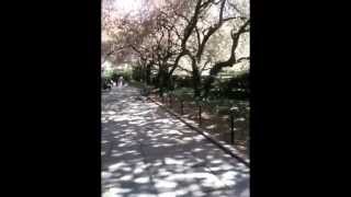 **Lori Carson - Time Machine**