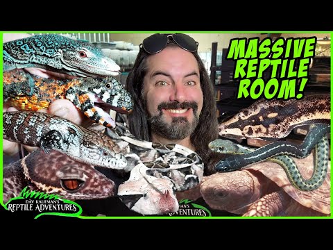 Serpentarium Tripadvisor