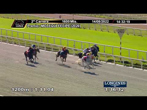 220814 c02 CHARLIE BRAVO