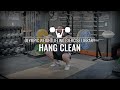 Hang Clean | Olympic Weightlifting Exercise Library