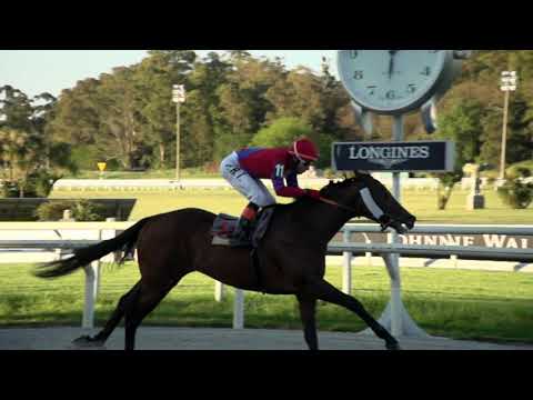 211016 c07 ALCEBOLLA