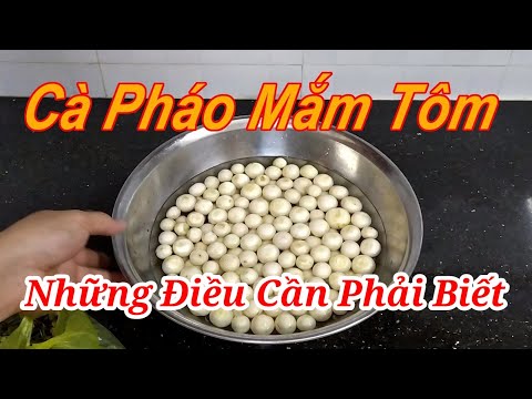 Hướng dẫn làm món Cà Pháo Mắm Tôm, giòn ngon tại nhà.