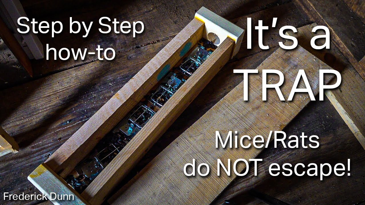 Watch video Rat or Mouse Trap Box of Certain Death, how to build your own. Safe for pets and children. Now Rat or Mouse Trap Box of Certain Death, how to build your own. Safe for pets and children.