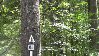 preview picture of video 'Bay Circuit Trail Sharon MA Part 1: Walpole Border to Moose Hill Trailhead.'