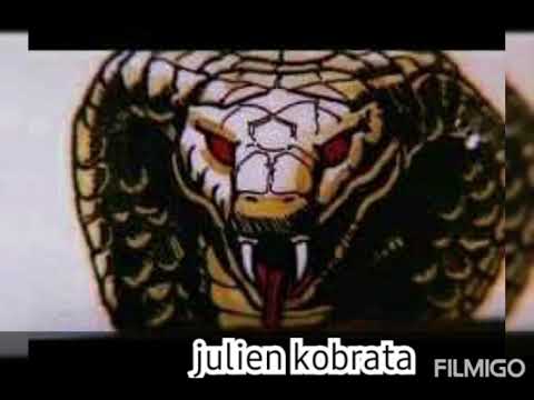 julien kobrata-tallava 2021 21