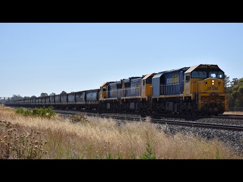 9048 Pacific National Broad Gauge Grain Train 23/01/26