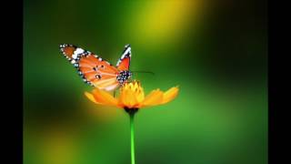 Someone leaving. Piano