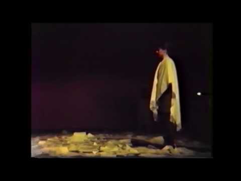 'n Meeuw, Anton Tsjechov, vertaling en regie Alain Pringels, de schizo's 1994