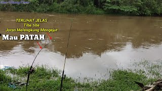 Download lagu Detik Detik Joran Melengkung Mau Patah!!!Bikin Panik Cabut Joran Sampai Sangkut mp3