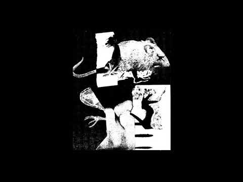 CinderVomit -  The Warrior