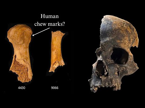 A Prehistoric Cannibal Massacre