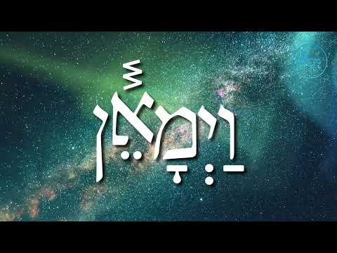 The Roller Coaster of Life - Rabbi Yechiel Spero