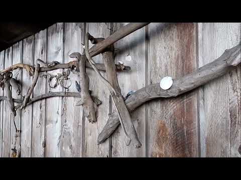 POINT NO POINT 2022 SEPT