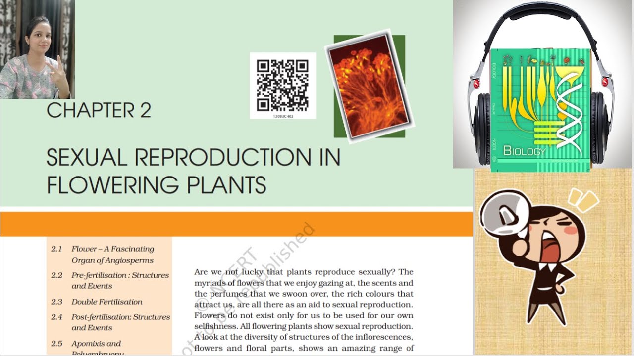 Ch 2 Class 12 NCERT Biology Audio book|Sexual Reproduction In flowering Plants NCERT Biology Reading