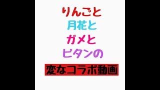 ［フォートナイト］コラボ初陣。