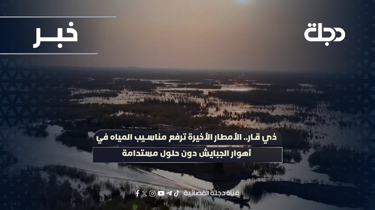 فيديو | ذي قار.. الأمطار الأخيرة ترفع مناسيب المياه في أهوار الجبايش دون حلول مستدامة