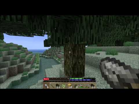 Tweety plays Terrafirmacraft ep 11 - Death loop