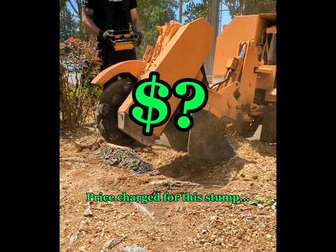 What's The Cost? Stump Grind