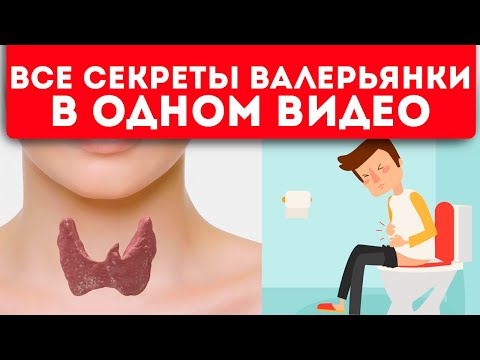 Это не знают даже аптекари! 10 применений валерьянки, которые вас точно удивят (4-е — бомба!)