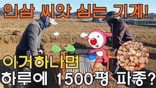 인삼씨앗 파종기계 인삼파종방법 하루에 1대로 1500평? - 인삼재배