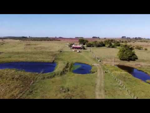 15 hectáreas Paraje Sauce Solo - Montes  - Canelones- GRUPO CIAPPESONI