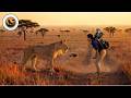 Blind and Alone — The Rescue of a Lioness Who Could No Longer See Her Pride DEFAULT Thumbnail