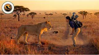 Blind and Alone — The Rescue of a Lioness Who Could No Longer See Her Pride MQDEFAULT Thumbnail