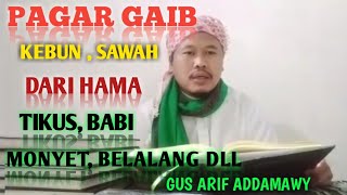 Download lagu PAGAR GAIB TANAMAN DARI TIKUS, BABI, MONYET, BELALANG, HAMA DST ( Spiritual Ilmu hikmah ) mp3