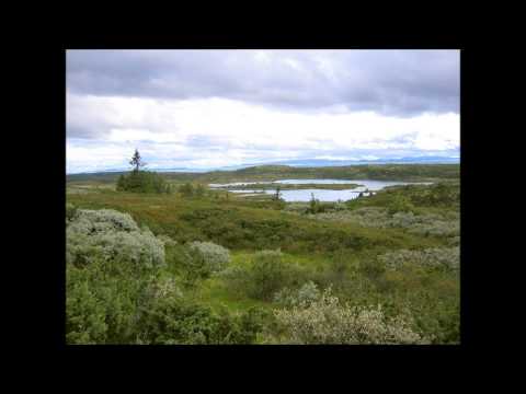 Edvard Grieg : Pinsesalme "Velsignede Morgen" from "Peer Gynt" Op.23