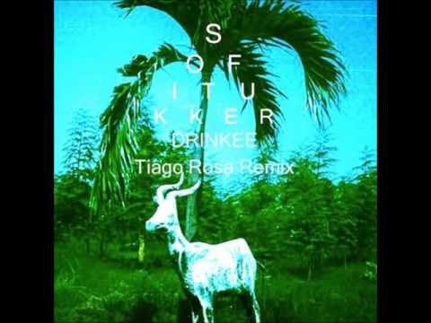 Sofi Tukker - Drinkee (Tiago Rosa Remix)