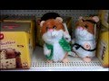 Funny Toy Hamster Singing It's Your Birthday by ...
