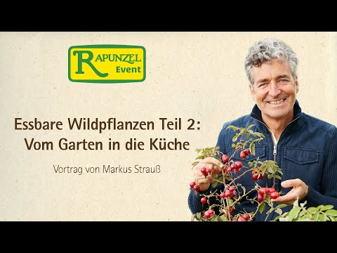 Essbare Wildpflanzen Teil 2: Vom Garten in die Küche