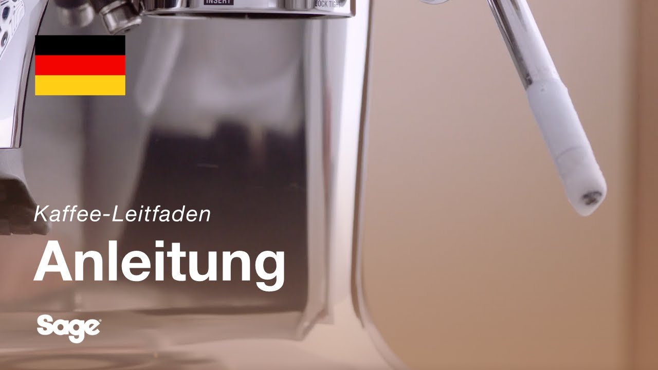 Reinigen des Dampfstabs und verstopfter Löcher in der Düse