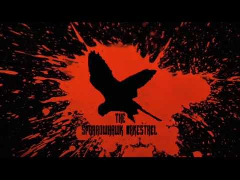 The Sparrowhawk Orkestrel: Panic at the Tesco