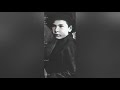 Diary of Dreams - Dead Souls Dreaming sub español & lyrics