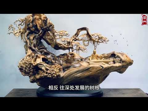 夢見樹根
