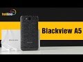 Video review Blackview A5 Violet Black