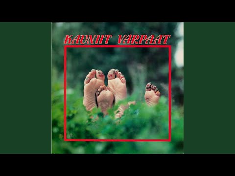 Pääskysellä on kesäpesä