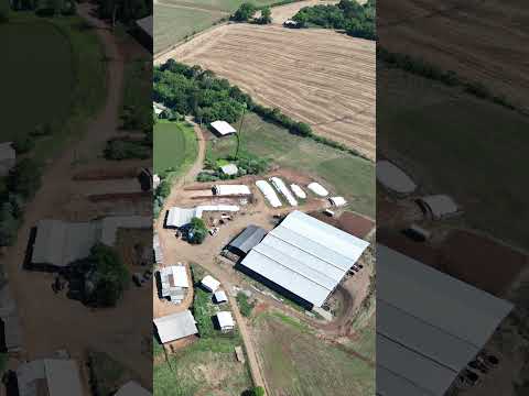 ATIVO RURAL COMPLETO EM CAMPOS NOVOS À VENDA.