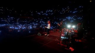 Snarls – “Big Fish”